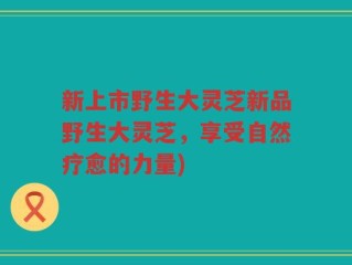 新上市野生大灵芝新品野生大灵芝，享受自然疗愈的力量)