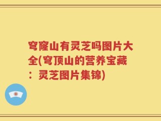 穹窿山有灵芝吗图片大全(穹顶山的营养宝藏：灵芝图片集锦)
