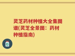 灵芝药材种植大全集图谱(灵芝全景图：药材种植指南)