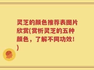 灵芝的颜色推荐表图片欣赏(赏析灵芝的五种颜色，了解不同功效！)