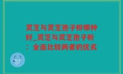 灵芝与灵芝孢子粉哪种好_灵芝与灵芝孢子粉：全面比较两者的优劣