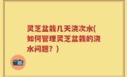 灵芝盆栽几天浇次水(如何管理灵芝盆栽的浇水问题?)