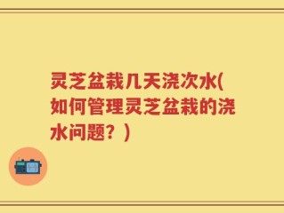 灵芝盆栽几天浇次水(如何管理灵芝盆栽的浇水问题？)