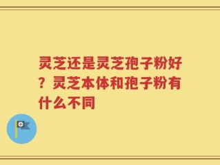 灵芝还是灵芝孢子粉好？灵芝本体和孢子粉有什么不同
