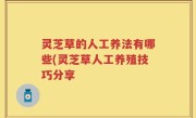 灵芝草的人工养法有哪些(灵芝草人工养殖技巧分享