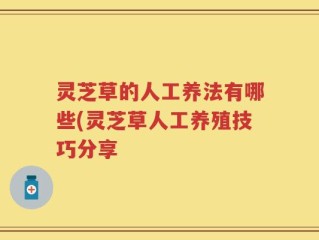 灵芝草的人工养法有哪些(灵芝草人工养殖技巧分享