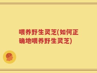 喂养野生灵芝(如何正确地喂养野生灵芝)