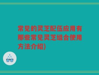 常见的灵芝配伍应用有那些常见灵芝组合使用方法介绍)