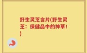 野生灵芝含片(野生灵芝：保健品中的神草！)