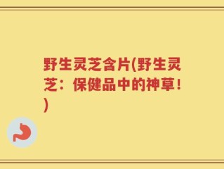 野生灵芝含片(野生灵芝：保健品中的神草！)