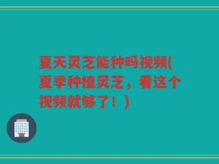 夏天灵芝能种吗视频(夏季种植灵芝，看这个视频就够了！)