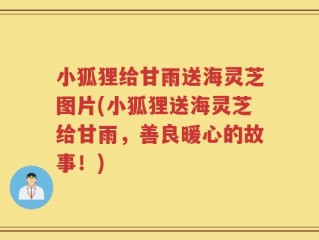 小狐狸给甘雨送海灵芝图片(小狐狸送海灵芝给甘雨，善良暖心的故事！)