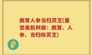 鹿茸人参当归灵芝(重塑美肌利器：鹿茸、人参、当归和灵芝)