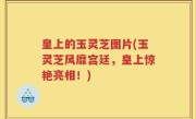 皇上的玉灵芝图片(玉灵芝风靡宫廷，皇上惊艳亮相！)