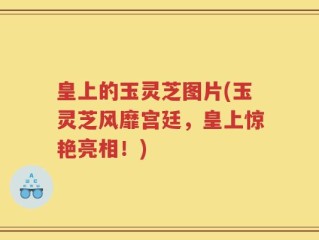 皇上的玉灵芝图片(玉灵芝风靡宫廷，皇上惊艳亮相！)