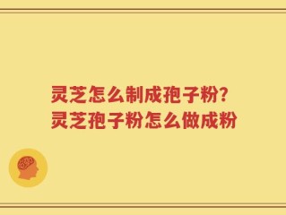 灵芝怎么制成孢子粉？灵芝孢子粉怎么做成粉