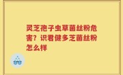 灵芝孢子虫草菌丝粉危害？识君健多芝菌丝粉怎么样