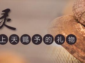 灵芝孢子粉的价位