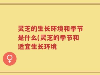 灵芝的生长环境和季节是什么(灵芝的季节和适宜生长环境