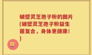 破壁灵芝孢子粉的图片(破壁灵芝孢子粉益生菌复合，身体更健康！)