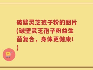 破壁灵芝孢子粉的图片(破壁灵芝孢子粉益生菌复合，身体更健康！)
