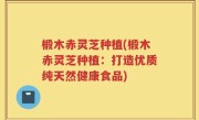 椴木赤灵芝种植(椴木赤灵芝种植：打造优质纯天然健康食品)