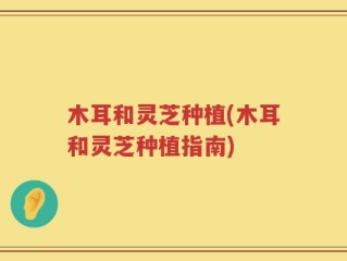 木耳和灵芝种植(木耳和灵芝种植指南)