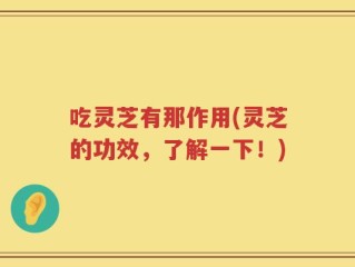 吃灵芝有那作用(灵芝的功效，了解一下！)