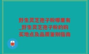 野生灵芝孢子粉哪里有_野生灵芝孢子粉的购买地点及品质鉴别指南