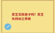 灵芝又称孢子吗？灵芝为何叫三秀呢