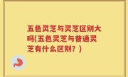 五色灵芝与灵芝区别大吗(五色灵芝与普通灵芝有什么区别？)