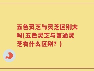 五色灵芝与灵芝区别大吗(五色灵芝与普通灵芝有什么区别？)