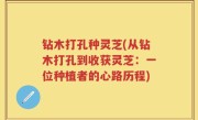 钻木打孔种灵芝(从钻木打孔到收获灵芝：一位种植者的心路历程)