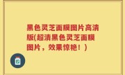 黑色灵芝面膜图片高清版(超清黑色灵芝面膜图片，效果惊艳！)