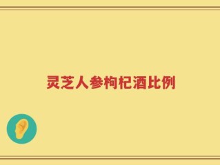 灵芝人参枸杞酒比例