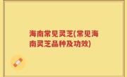 海南常见灵芝(常见海南灵芝品种及功效)