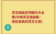 灵芝插画系列图片大全集(珍稀灵芝插画集：美轮美奂的灵芝之美)