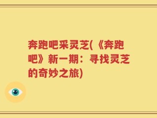 奔跑吧采灵芝(《奔跑吧》新一期：寻找灵芝的奇妙之旅)