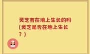 灵芝有在地上生长的吗(灵芝是否在地上生长？)