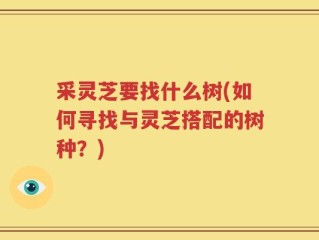 采灵芝要找什么树(如何寻找与灵芝搭配的树种？)