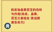 陈皮加桑黄灵芝的功效与作用(陈皮、桑黄、灵芝三者结合 激活健康生命力)