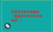 灵芝孢子粉归类图解_“图解灵芝孢子粉分类指南”)