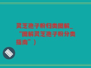 灵芝孢子粉归类图解_“图解灵芝孢子粉分类指南”)