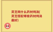 灵芝同什么药材炖汤(灵芝搭配哪些药材炖汤最好)