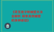 《灵芝孢子粉破壁方法全解析 探索高效破壁的多种途径》