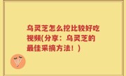 乌灵芝怎么挖比较好吃视频(分享：乌灵芝的最佳采摘方法！)