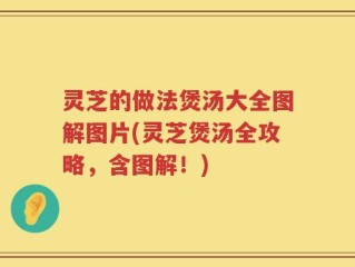 灵芝的做法煲汤大全图解图片(灵芝煲汤全攻略，含图解！)