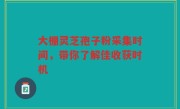 大棚灵芝孢子粉采集时间，带你了解佳收获时机