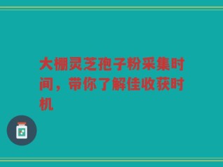大棚灵芝孢子粉采集时间，带你了解佳收获时机