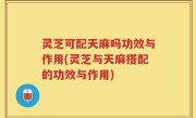 灵芝可配天麻吗功效与作用(灵芝与天麻搭配的功效与作用)